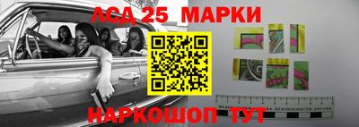 индика Кандалакша