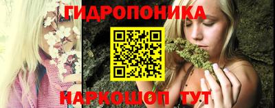 тгк Канаш