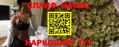 индика Кандалакша