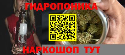 синтетический гашиш Камышлов