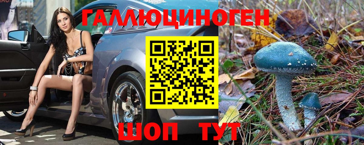 Псилоцибиновые грибы GOLDEN TEACHER Карталы