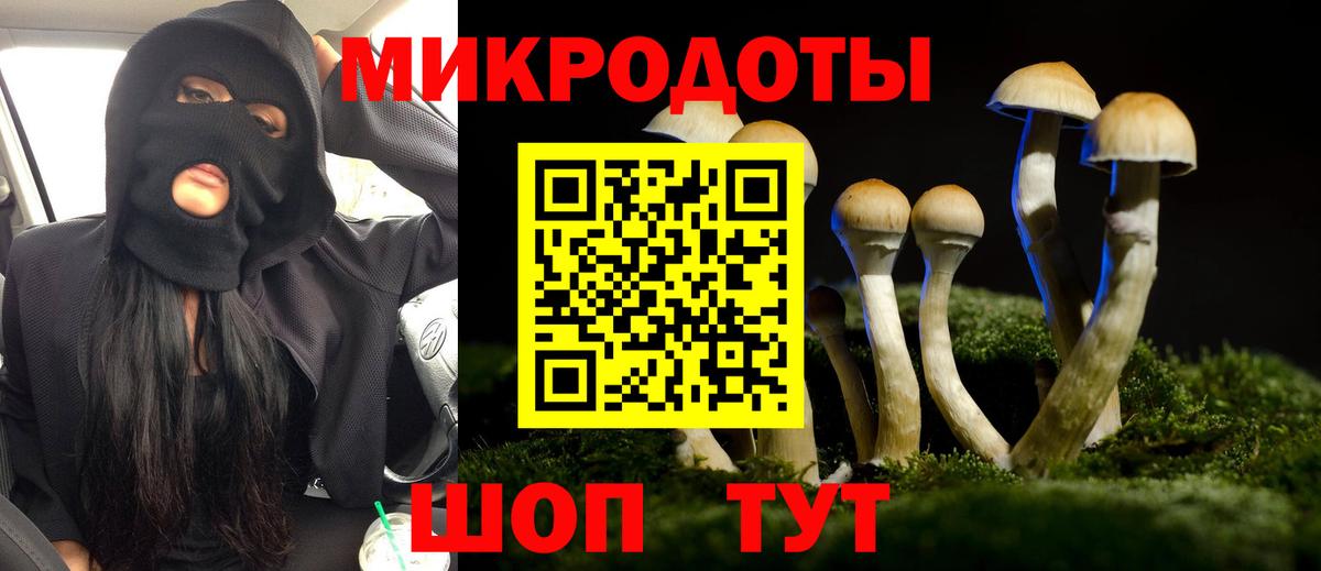 Псилоцибиновые грибы Psilocybe  как найти закладки  Карталы  Вход с VPN 